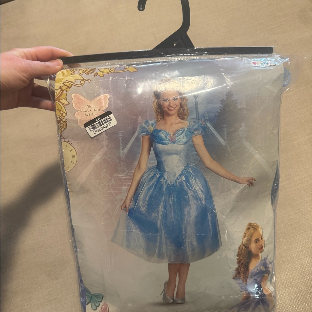 Disney Adult Cinderella Costume